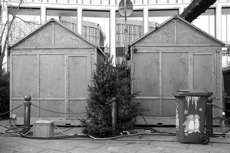 O Tannenbaum | by Marco Ristuccia