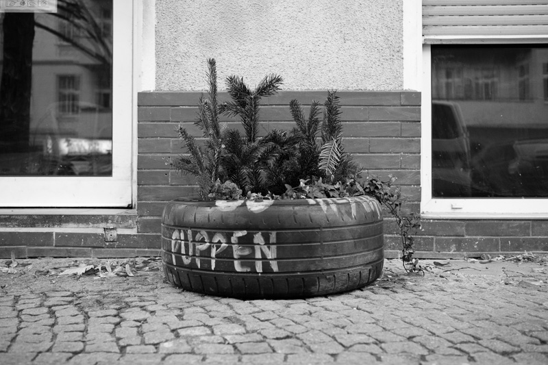 O Tannenbaum | by Marco Ristuccia