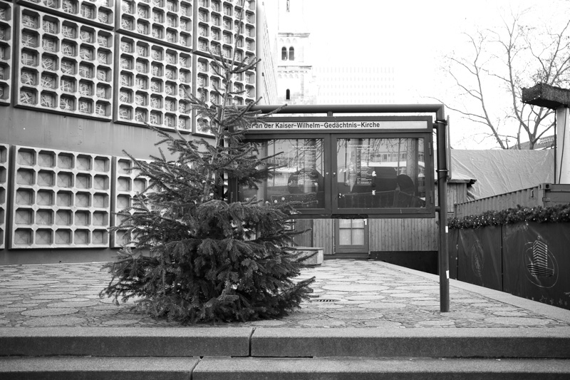 O Tannenbaum | by Marco Ristuccia
