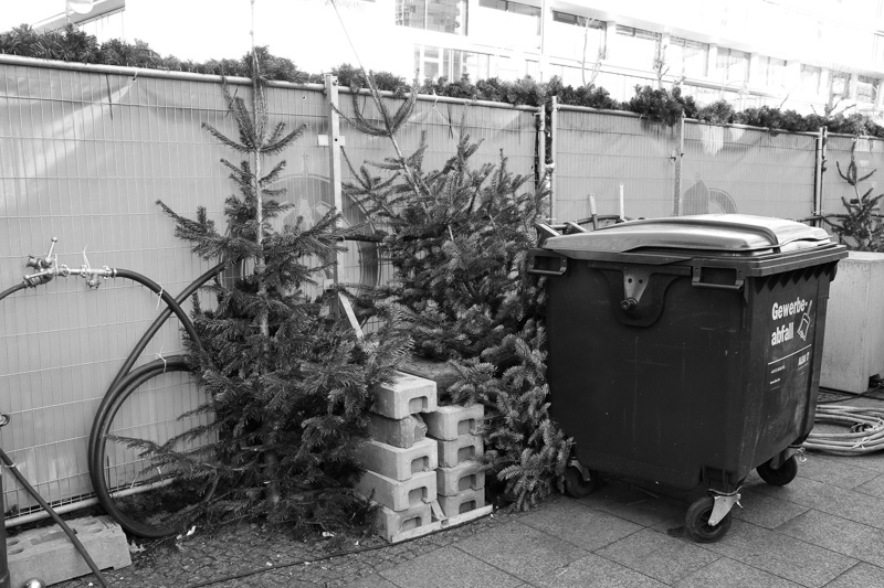 O Tannenbaum | by Marco Ristuccia