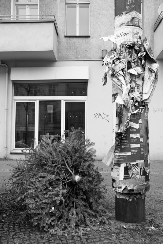 O Tannenbaum | by Marco Ristuccia