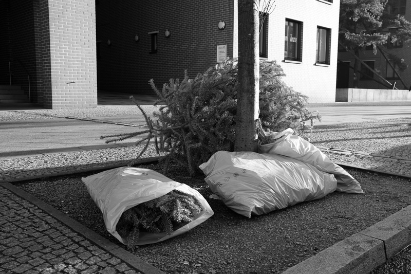 O Tannenbaum | by Marco Ristuccia