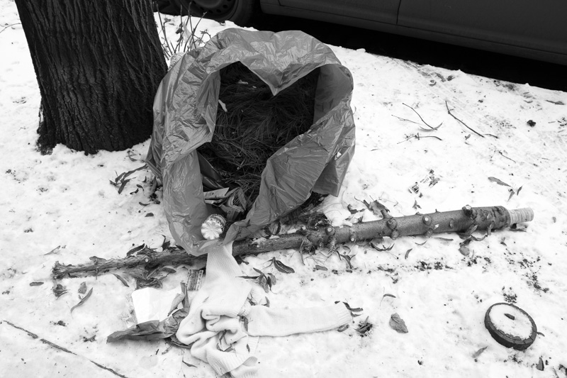 O Tannenbaum | by Marco Ristuccia