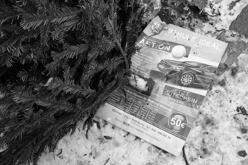 O Tannenbaum | by Marco Ristuccia