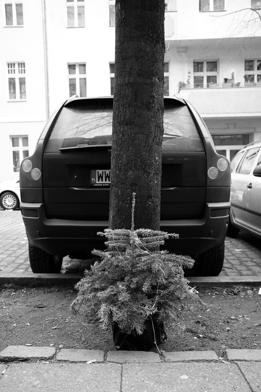 O Tannenbaum | by Marco Ristuccia