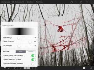 PhotoPatch v15 Linear Gradient