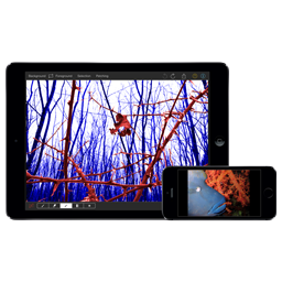 Apple iOS app development